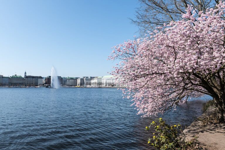 Best Places to Visit in Japan 2026 | Top Cities, Culture & Nature