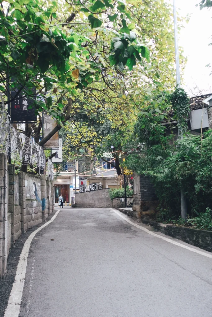 Beicang Creative Cultural District in Chongqing Near Guanyinqiao 16 Tree-lined road leading into Beicang Creative Cultural District in Chongqing