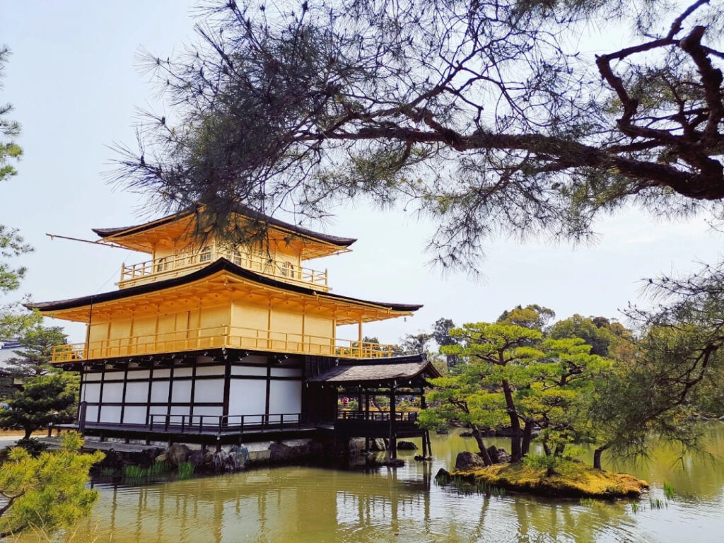 Golden Temple Kyoto Guide: Kinkaku-ji Travel Tips & History 5 Side view of Golden Temple Kyoto surrounded by pine trees and calm pond waters