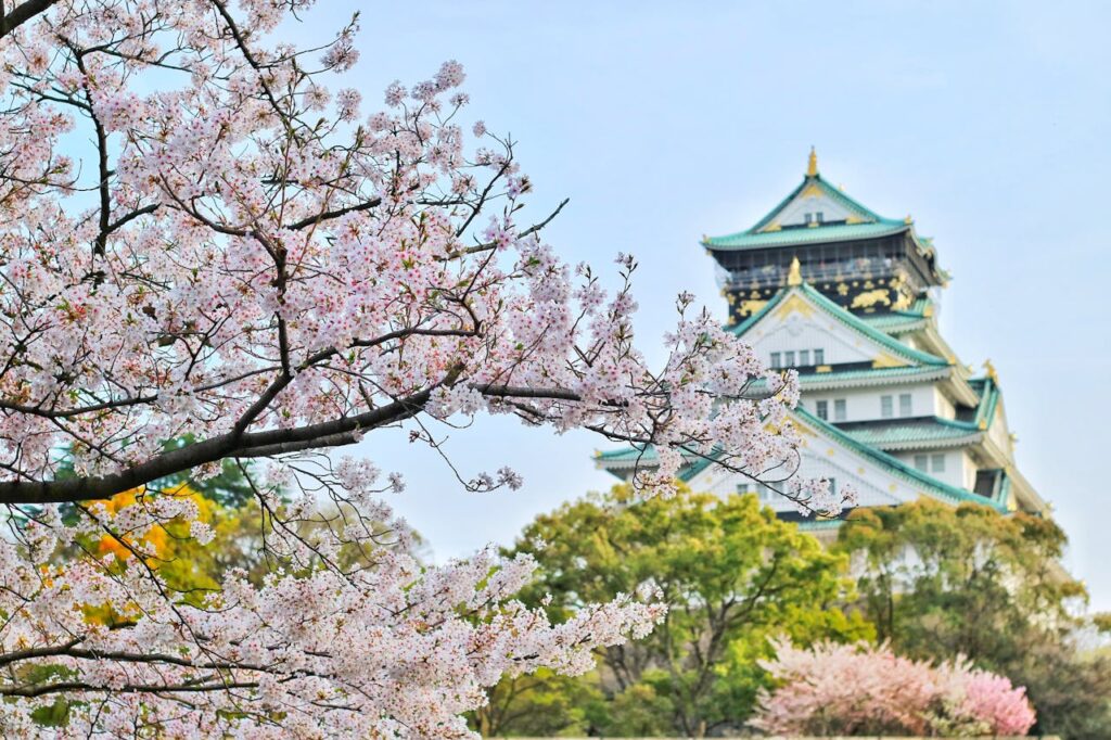 Cherry Blossom Japan With Kids: What Parents Should Know 8 Osaka Castle framed by blooming cherry blossom trees during spring in Japan