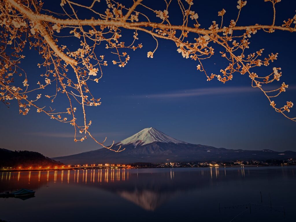 Cherry Blossom Japan With Kids: What Parents Should Know 13 Mount Fuji reflected in Lake Kawaguchi with cherry blossom branches during spring in Japan