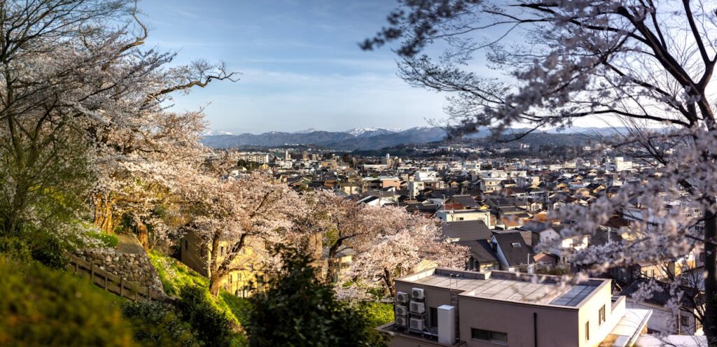Cherry Blossom Japan With Kids: What Parents Should Know 9 Cherry blossom trees overlooking a Japanese town during spring sakura season