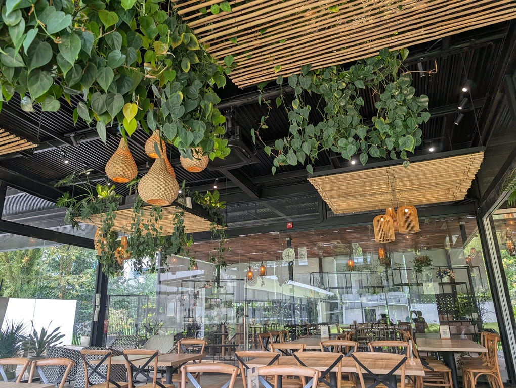 The Canopy HortPark Review: Family-Friendly Brunch 7 Interior of The Canopy HortPark with hanging greenery and wooden decor