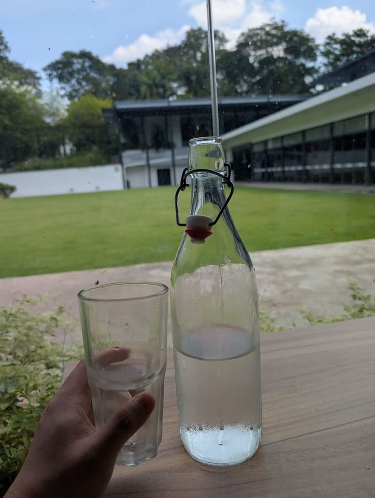 The Canopy HortPark Review: Family-Friendly Brunch 11 Glass water bottle and lawn view from The Canopy HortPark dining area