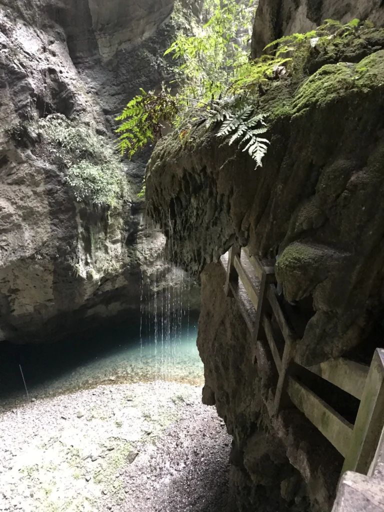 Water dripping from mossy limestone cliffs into turquoise pool at Longshuixia Gorge Wulong Karst