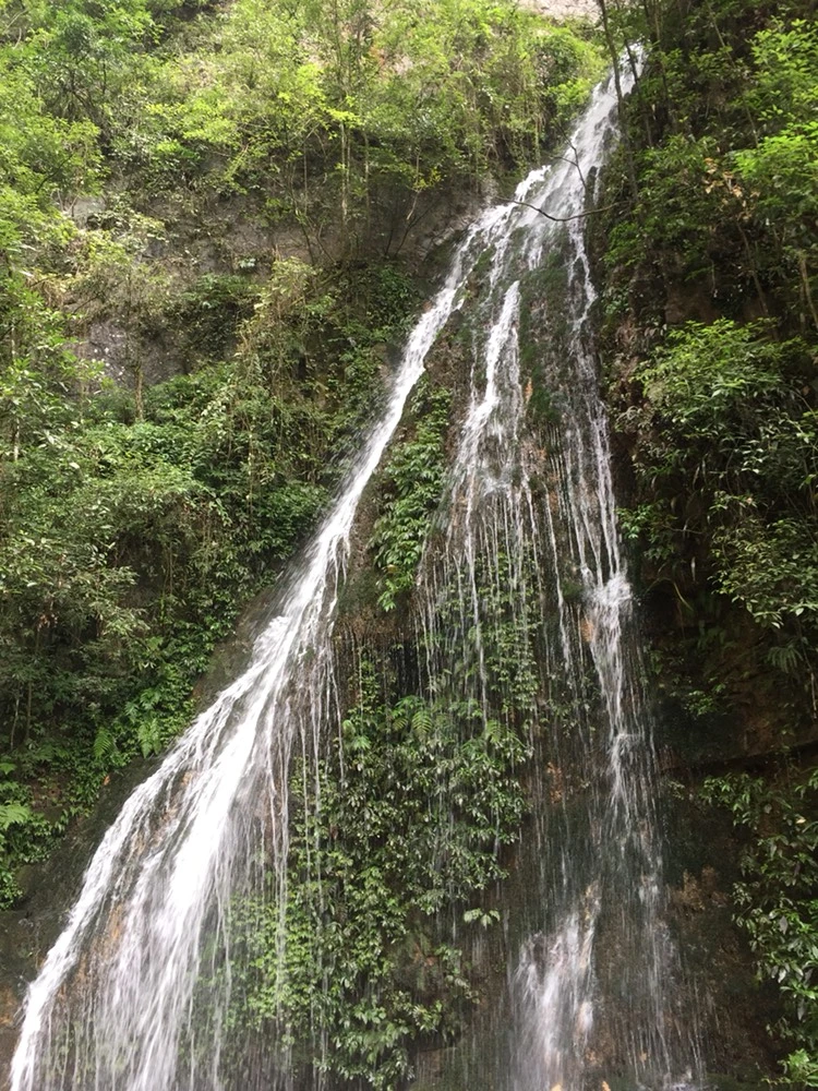 Tall waterfall flowing down lush forest cliff in Wulong Karst National Park Chongqing