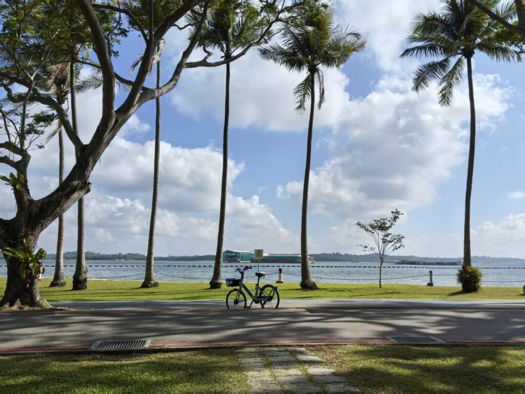 Pasir Ris Park Singapore Guide: Things to Do, Tips & Family Experience 5 Bicycle parked beside the coastal road at Pasir Ris Park with tall palm trees and sea views in Singapore
