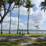 Pasir Ris Park Singapore Guide: Things to Do, Tips & Family Experience