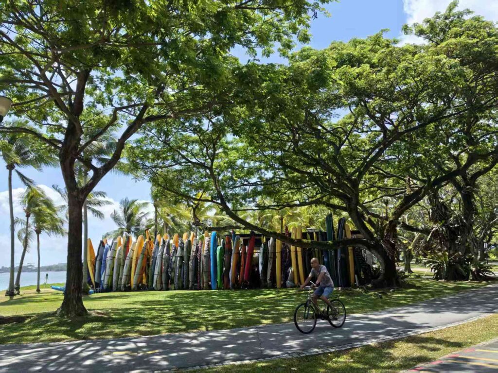 Pasir Ris Park Singapore Guide: Things to Do, Tips & Family Experience 9 Cyclist passing colorful kayaks and trees at Pasir Ris Park Singapore