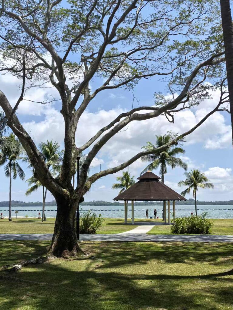 Pasir Ris Park Singapore Guide: Things to Do, Tips & Family Experience 10 Seaside gazebo framed by trees and palm trees at Pasir Ris Park Singapore