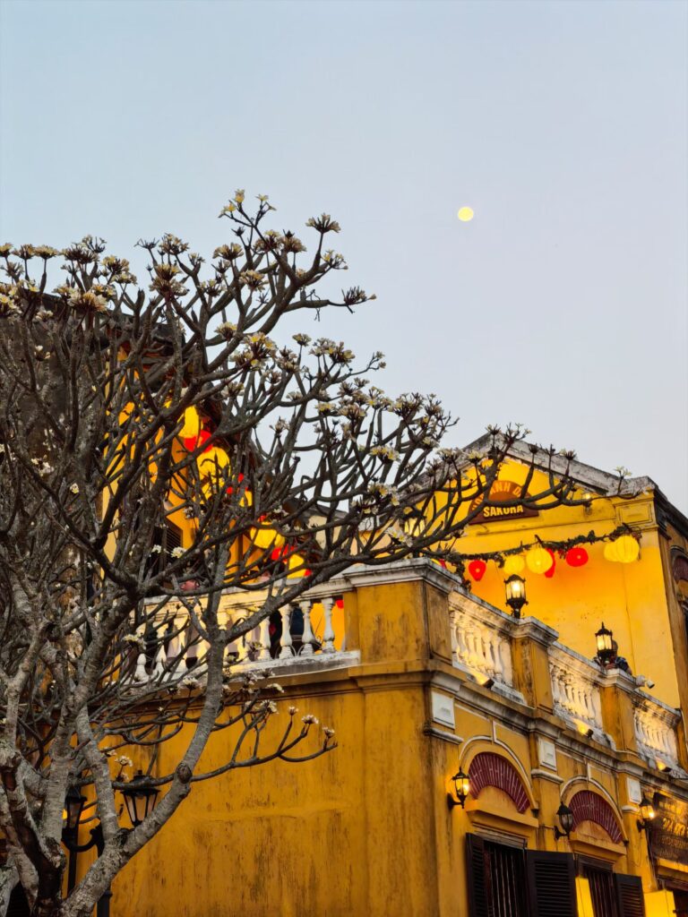 Hoi An Ancient Town yellow colonial building with lanterns and blooming tree at dusk