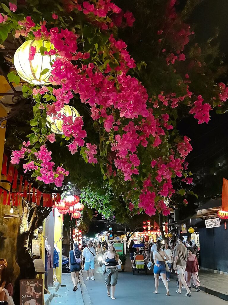 Hoi An night market street with lanterns and pink bougainvillea flowers