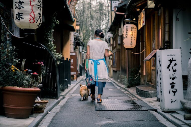 Where to Stay in Kyoto (2026 Guide)