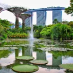 Best Budget Hotels in Singapore 2026: Cheap, Good & Under SGD 100