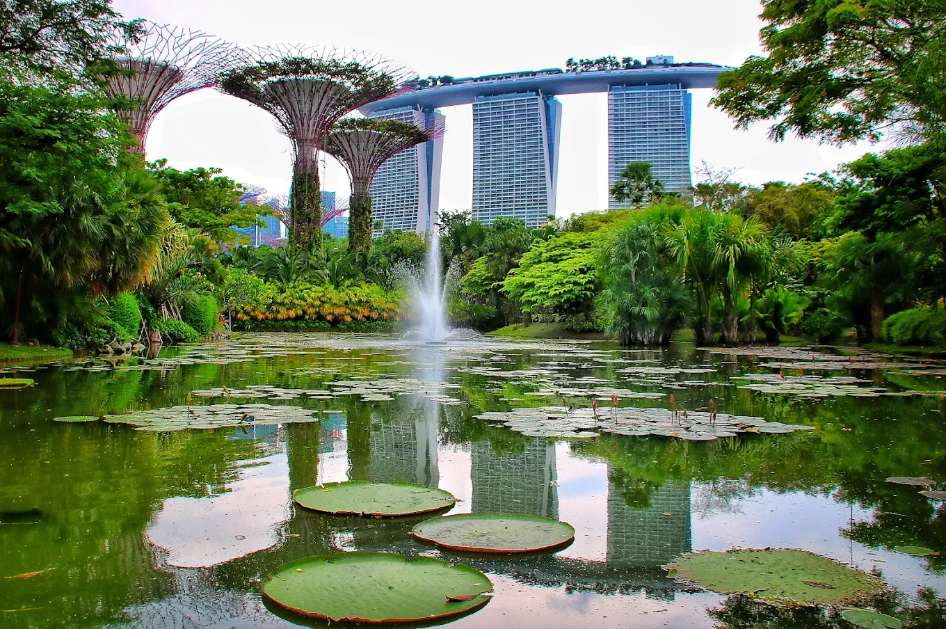 Scenic pond with lily pads at Gardens by the Bay, with Supertree Grove and Marina Bay Sands in the background.