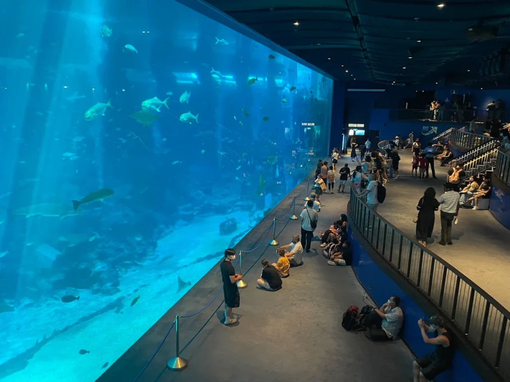 Visitors viewing the massive ocean tank filled with marine life inside S.E.A. Aquarium in Sentosa, Singapore.