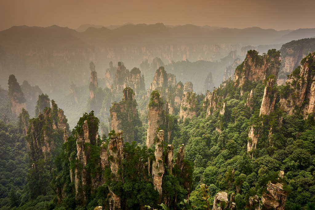 Towering sandstone pillar mountains covered in lush forest at Zhangjiajie National Forest Park in Hunan