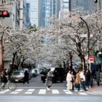 Where to Stay in Shinjuku (2026): Best Areas & Hotels for Every Traveler