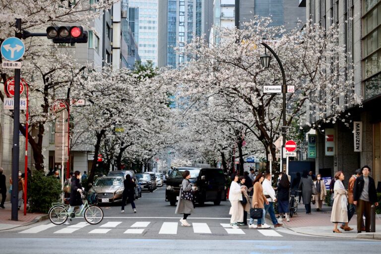 Where to Stay in Shinjuku (2026): Best Areas & Hotels for Every Traveler