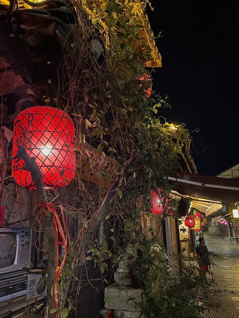 Qingyan Ancient Town Guide: Food, Night Views & Where to Stay 11 Red lantern glowing beside vines and old stone walls in Qingyan Ancient Town at night.