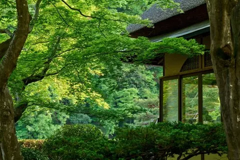 Traditional Japanese architecture surrounded by lush green maple trees and landscaped gardens at a luxury hotel in Arashiyama, Kyoto.