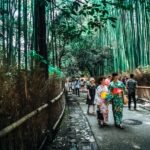 Hotels Near Arashiyama Bamboo Grove: 10 Best Places to Stay in Kyoto (2026)
