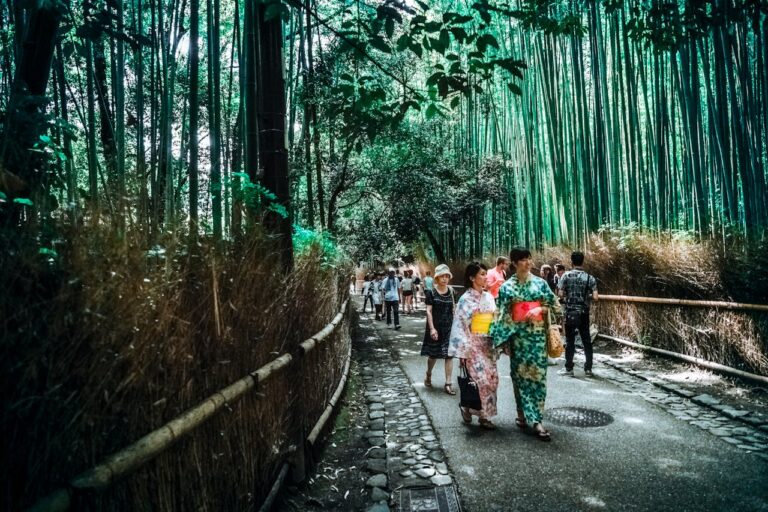 Hotels Near Arashiyama Bamboo Grove: 10 Best Places to Stay in Kyoto (2026)