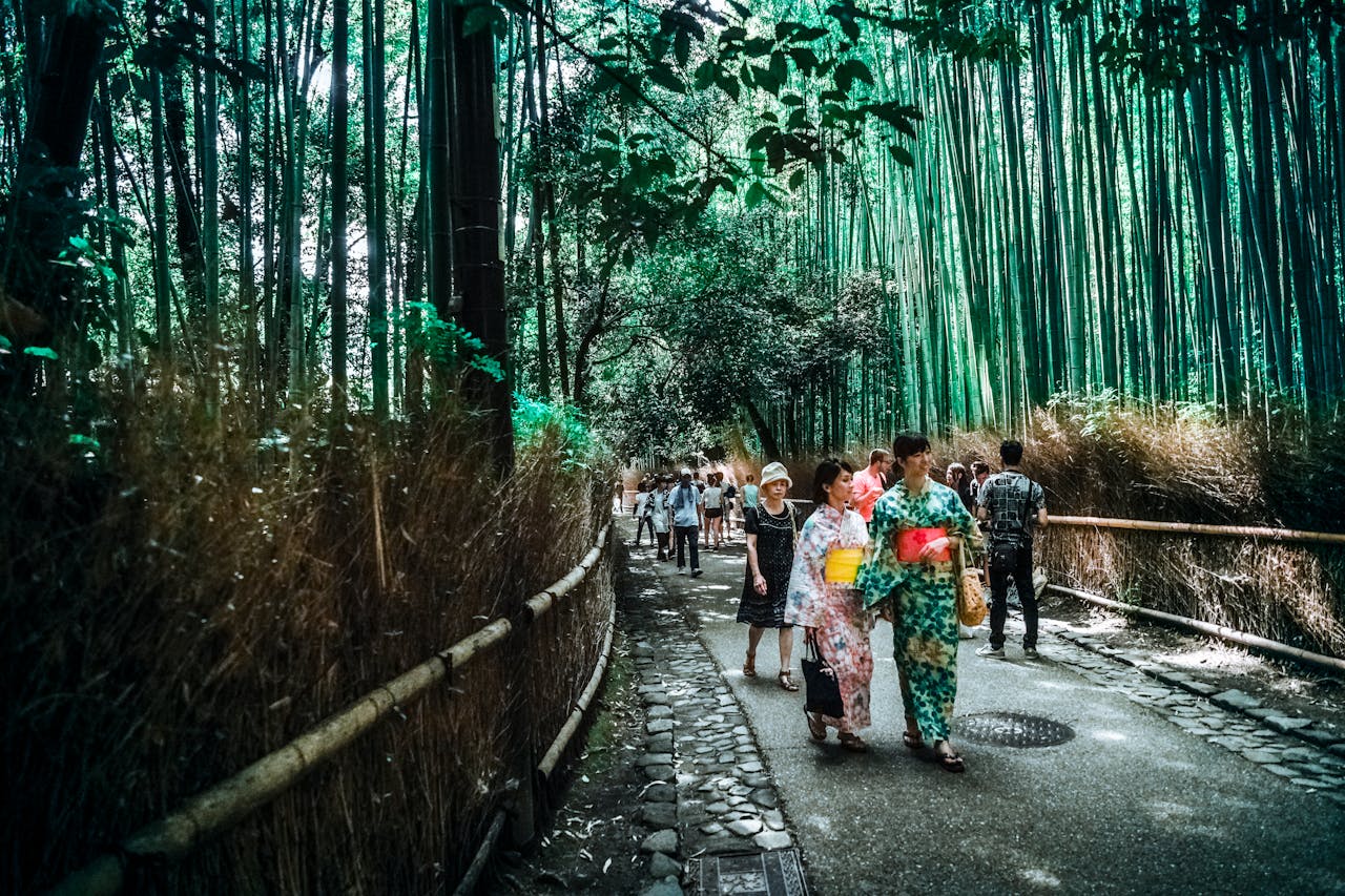 Visitors walking through the famous Arashiyama Bamboo Grove in Kyoto, Japan, surrounded by towering green bamboo stalks on a scenic forest pathway.