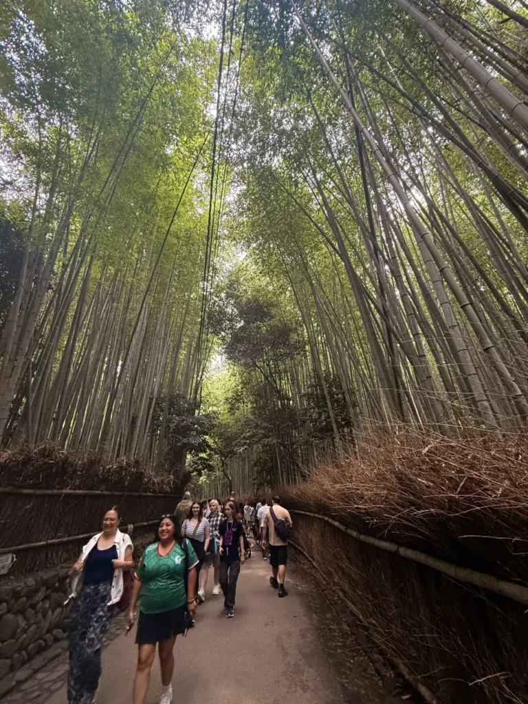 7-Day Osaka, Kyoto and Kobe Itinerary: Food, Shopping and Summer Sights 30 Visitors walking through the towering bamboo stalks of Arashiyama Bamboo Grove in Kyoto.