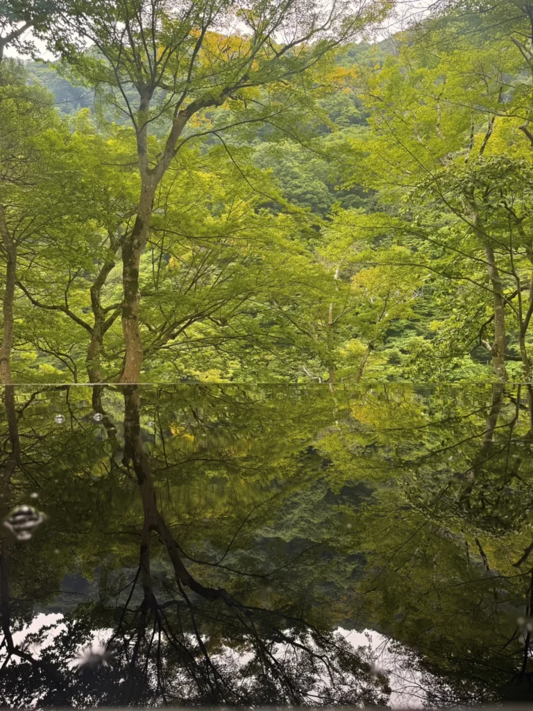 Reflection of green maple trees on the water pond at Arashiyama Yusai-tei
