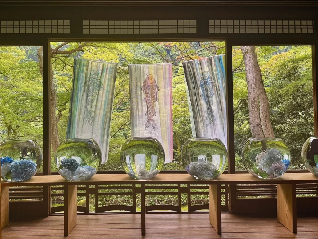 Glass bowls filled with hydrangeas displayed inside Arashiyama Yusai-tei overlooking the garden