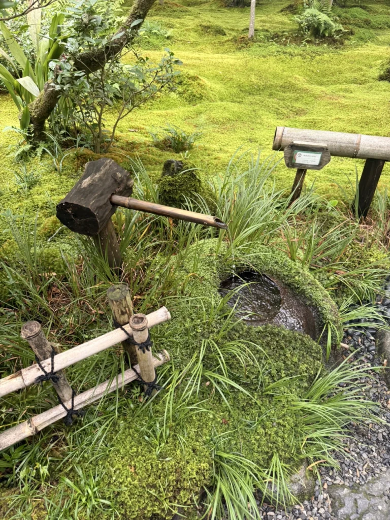 Gioji Temple Kyoto: Is the Moss Garden Worth Visiting? 18 Rustic bamboo water spout flowing into a moss-covered basin at Gioji Temple