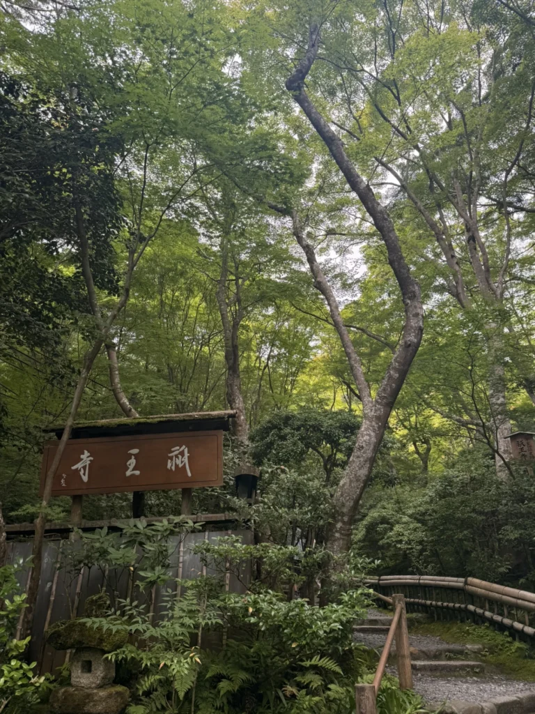 Gioji Temple Kyoto: Is the Moss Garden Worth Visiting? 6 Wooden Gioji Temple sign beneath tall maple trees in Arashiyama