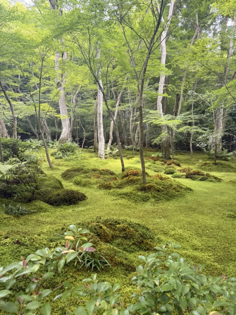 Gioji Temple Kyoto: Is the Moss Garden Worth Visiting?