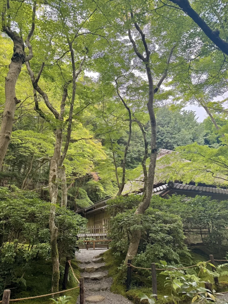 Gioji Temple Kyoto: Is the Moss Garden Worth Visiting? 10 Traditional temple building surrounded by trees and moss at Gioji Temple