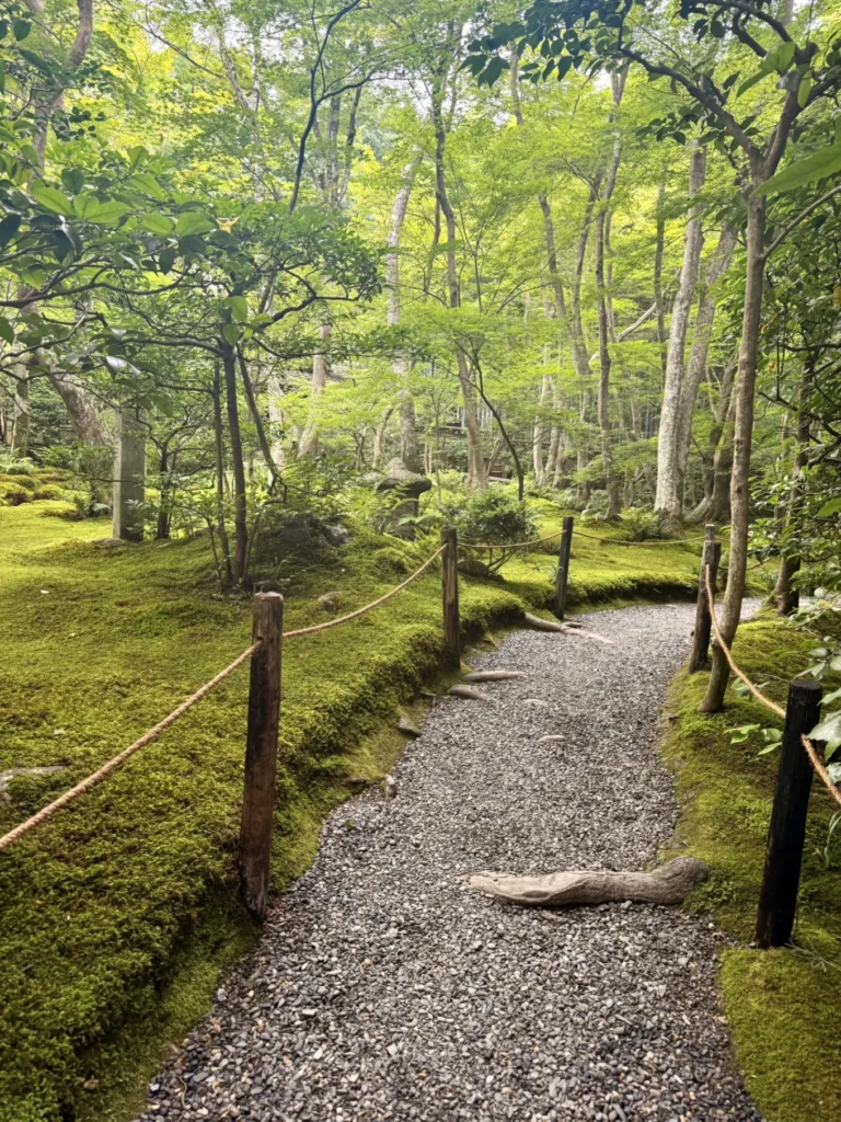Gioji Temple Kyoto: Is the Moss Garden Worth Visiting? 11 Curving gravel walkway through the moss garden at Gioji Temple