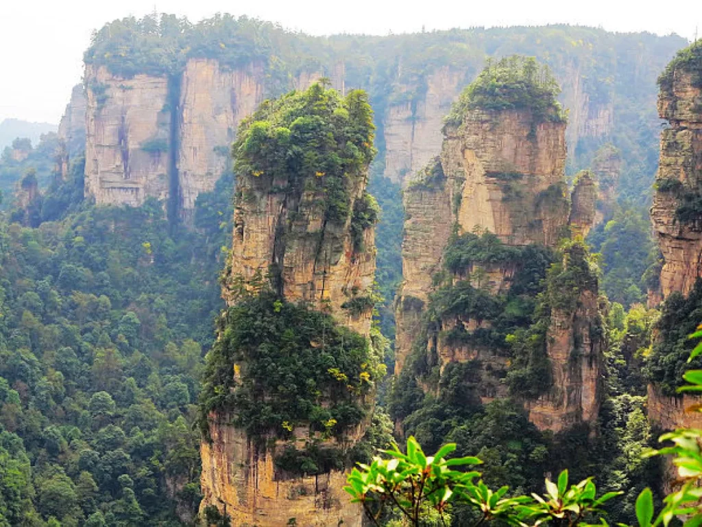 Avatar Hallelujah Mountain: Complete Zhangjiajie Travel Guide 8 Avatar Hallelujah Mountain towering above the forests of Zhangjiajie National Forest Park