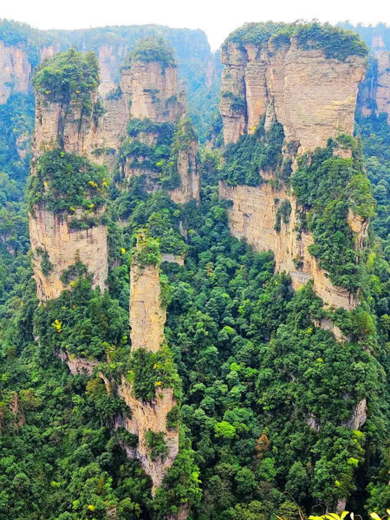 Avatar Hallelujah Mountain: Complete Zhangjiajie Travel Guide 9 Panoramic view of the sandstone pillars at Avatar Hallelujah Mountain in Zhangjiajie