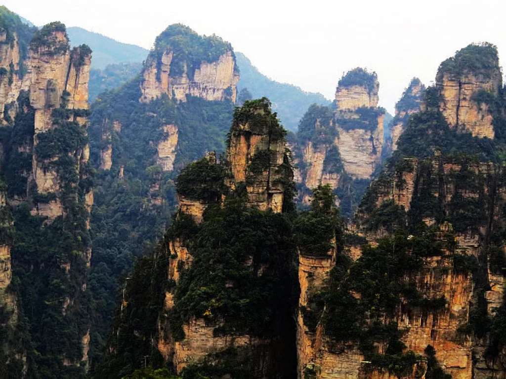 Avatar Hallelujah Mountain: Complete Zhangjiajie Travel Guide 6 Misty sandstone peaks surrounding Avatar Hallelujah Mountain in Yuanjiajie Scenic Area