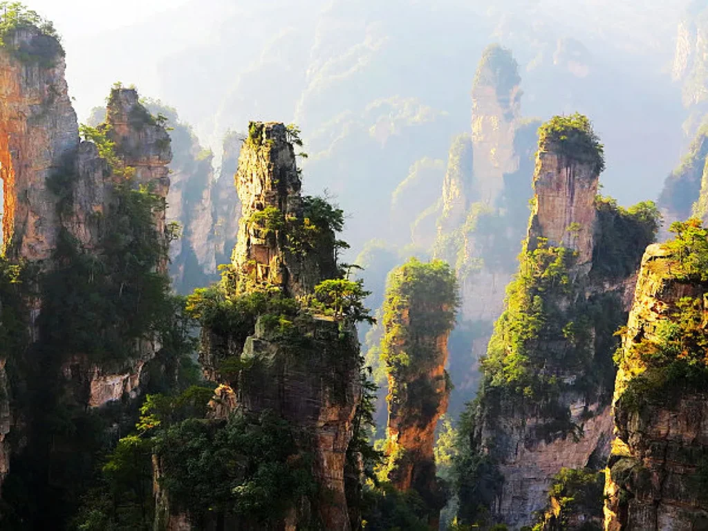 Avatar Hallelujah Mountain: Complete Zhangjiajie Travel Guide 5 Golden morning light illuminating Avatar Hallelujah Mountain in Zhangjiajie