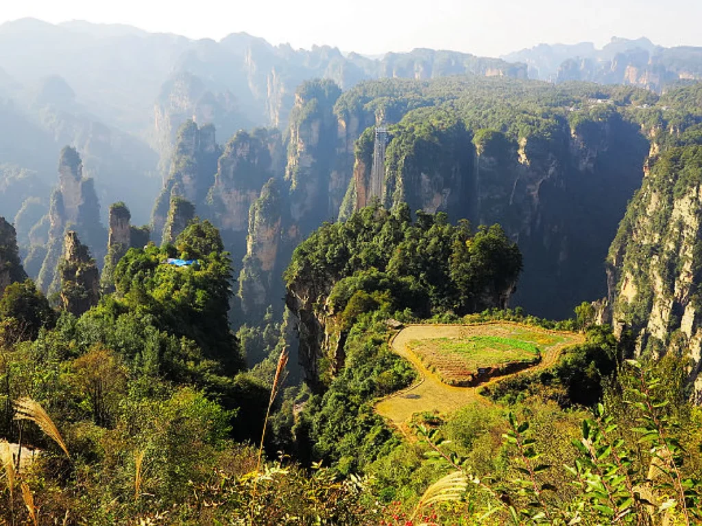 Avatar Hallelujah Mountain: Complete Zhangjiajie Travel Guide 10 Scenic panorama overlooking the sandstone pillars of Zhangjiajie National Forest Park