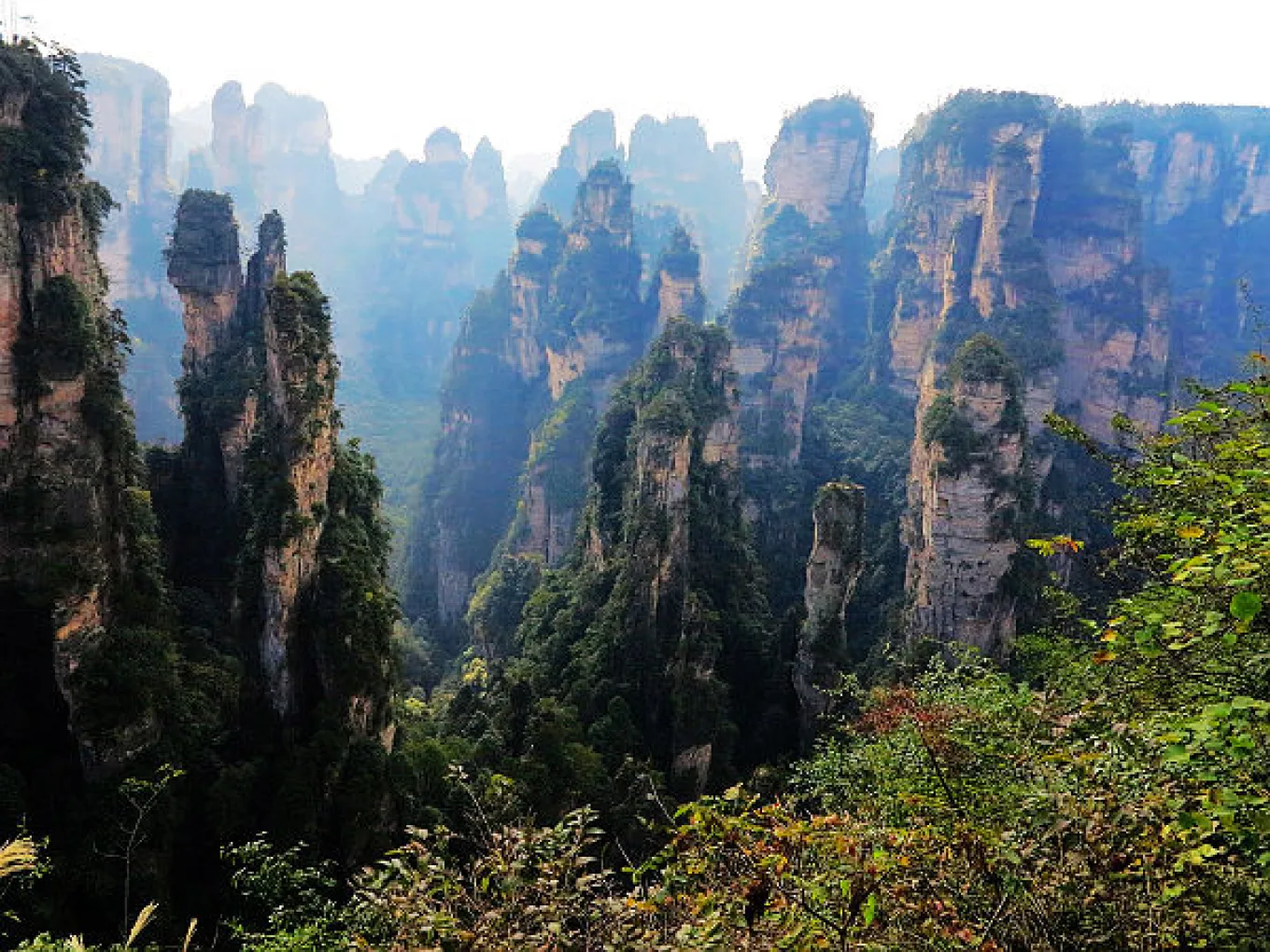 Expansive view of Avatar-inspired sandstone pillars in Zhangjiajie National Forest Park