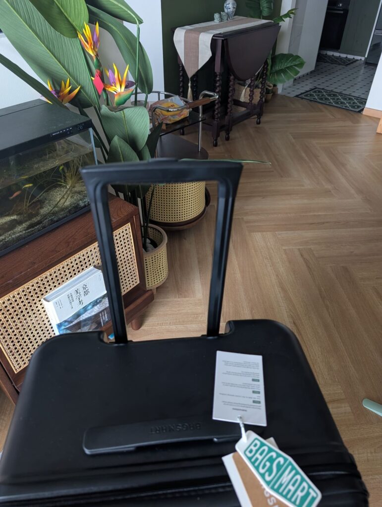 Bagsmart Getaway 30 Trunk Review: A Hands-On First Look at This 96L Checked Luggage 18 Extended telescopic handle on the Bagsmart Getaway 30 Trunk checked suitcase